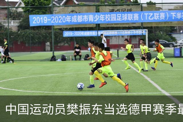 中国运动员樊振东当选德甲赛季最佳球员